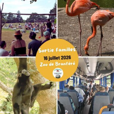 [Retour en images] Les animations estivales 2026